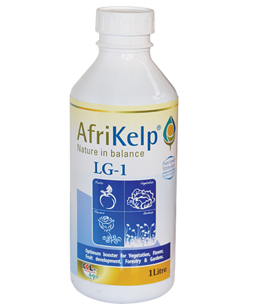 foliar fertilzer, crop stimulants, crop growth enhancer, foliar fertilizer for coffee, foliar fertilizer in kenya, foliar fertilizer for beans, foliar fertilizer for maize, foliar fertilizer for onions, foliar fertilizer for potatoes, foliar fertilizer for tomatoes, foliar fertilizer for groundnut, foliar fertilizer for kales, foliar fertilizer for cabbages, Afrikelp, booster foliar fertilizer, mona foliar kenya, omex foliar feed kenya, mona foliar feed, lavender foliar, elgon kenya fertilizers, fertilizer companies in kenya, fertilizer prices in kenya