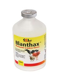 Blanthax Blackquarter & Anthrax Vaccines