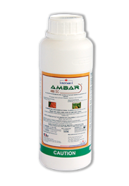 selective herbicide for beans in kenya