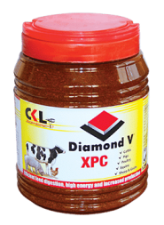 Diamond V XPC, immune boosters in animals, poultry immune boosters