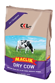 dry cow minerals, what is a dry cow, cow salt, milk production, sodium levels, milk fever, feed intake, teat sealant, length of the dry, trace minerals, body condition score, existing infections, dairy herd dry period, dry cow therapy, retained placentas, 60 days, teat canal, dairy cows, mammary gland, prevent new infections, milk yields, animal feeding