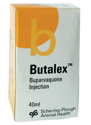 Butalex packaging for Theileriosis treatment in cattle by CKL Africa