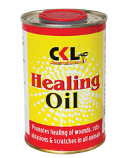 Healing Oil in cattles, how to treat wounds in cattle,