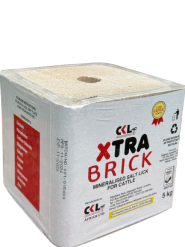 CKL X-tra Brick