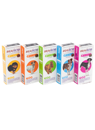 Bravecto for dogs, flea control for dogs, Ticks, Fleas and Mites Control in Dogs, Bravecto for Dogs