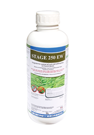 Stage 250 EW