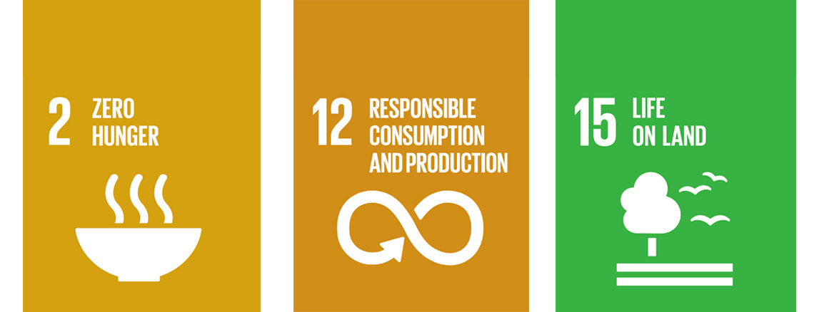 Our Contribution to SDG Realization in Kenya