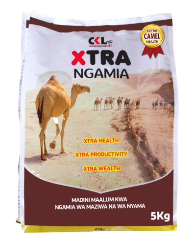 CKL Xtra Ngamia