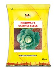 KICHWA F1 cabbage seeds in Kenya