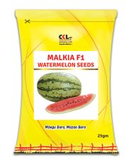 Malkia F1 watermelon