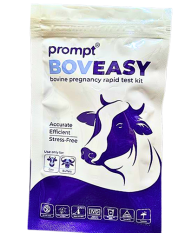 Pregnancy Detection in Cows