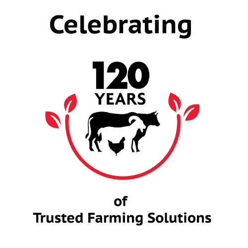 CKL 120 Years Logo
