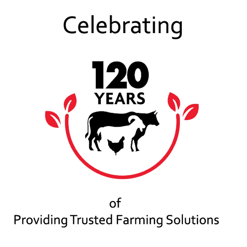 CKL 120 Years Logo
